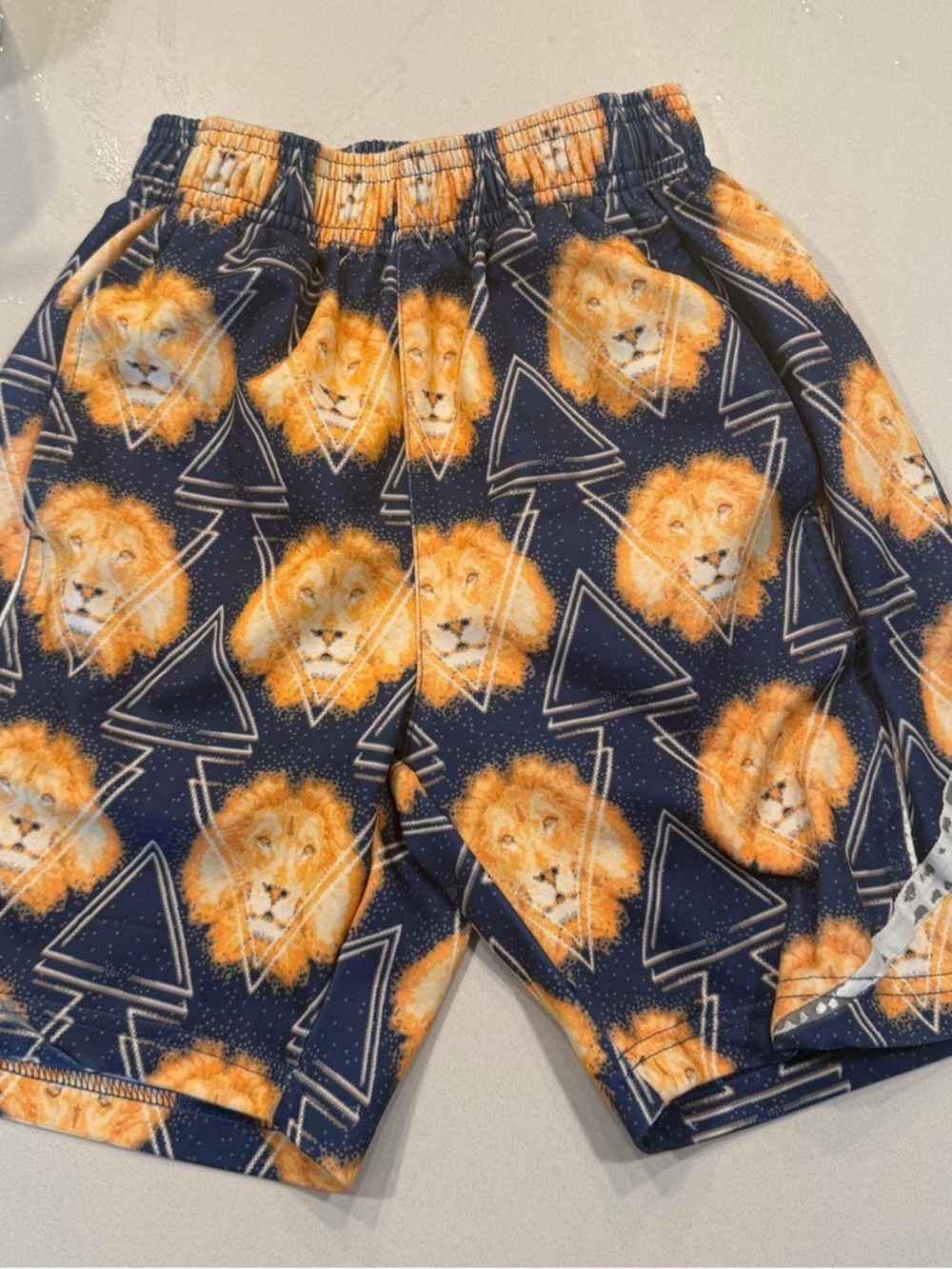 Society Navy & Orange Eagle Patch Swim Shorts